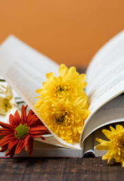 5 književnih preporuka za prolećnu groznicu Knjige na sunce
