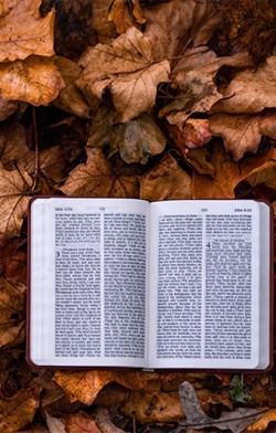 Zašto je izolacija prouzrokovala veliku pomamu za Biblijom Nagli porast onlajn prodaje Biblije